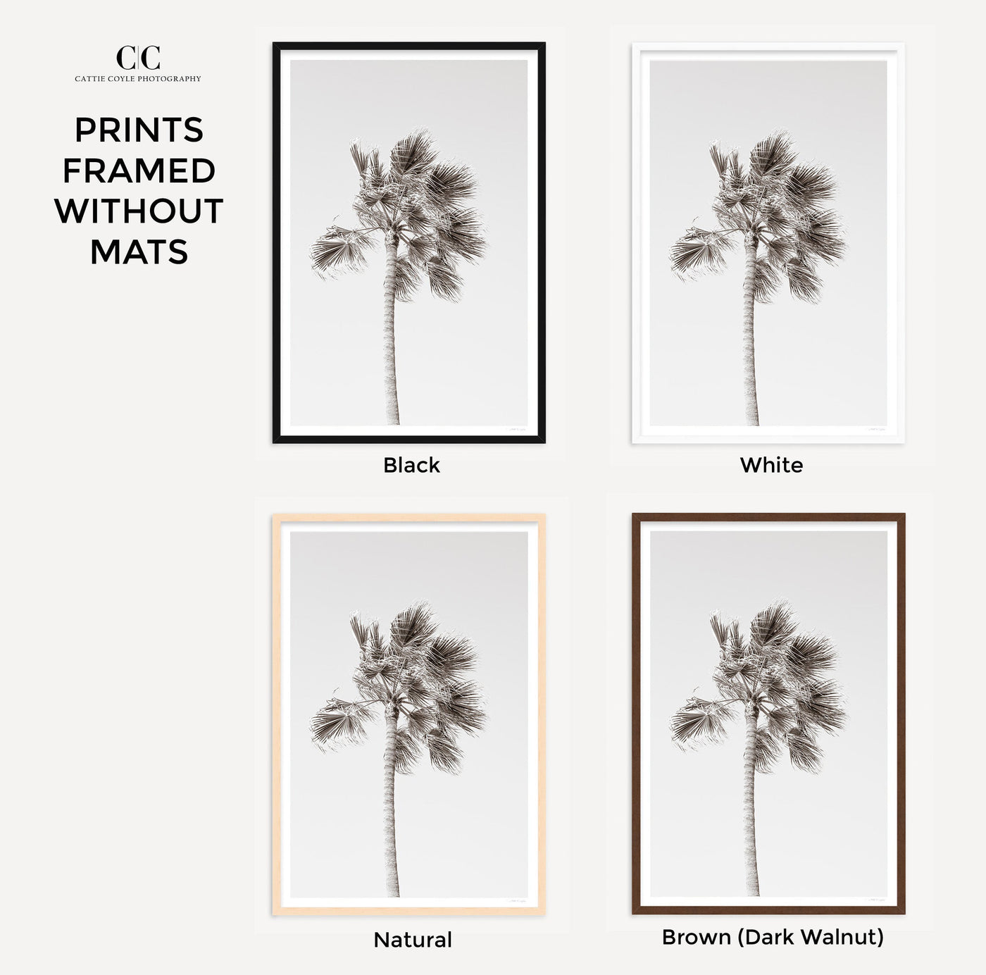 Framed black and white palm tree wall art by Cattie Coyle Photography