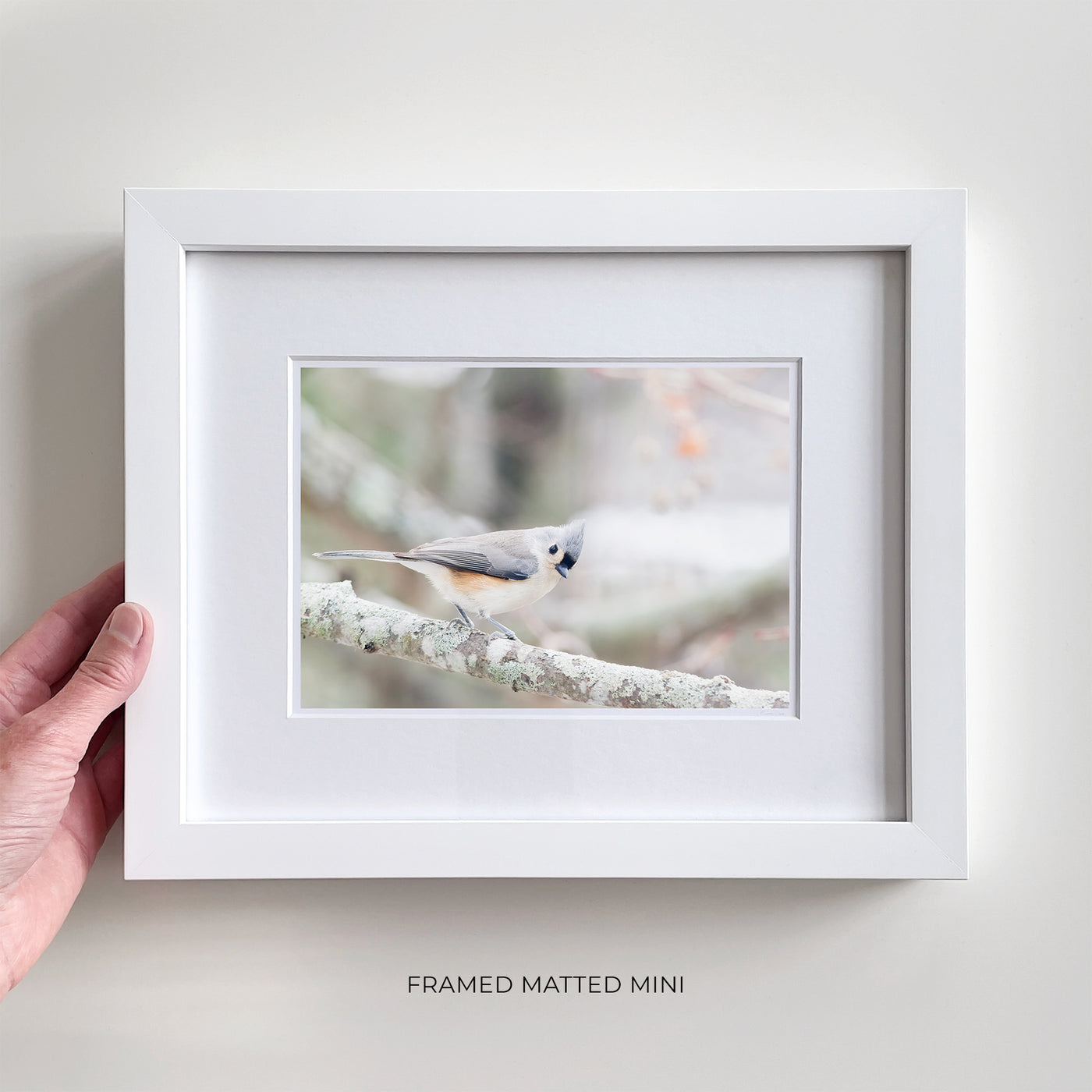 Framed bird art print by Cattie Coyle Photography