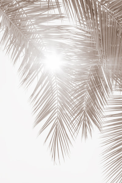 Palm tree wall decor by Cattie Coyle Photography