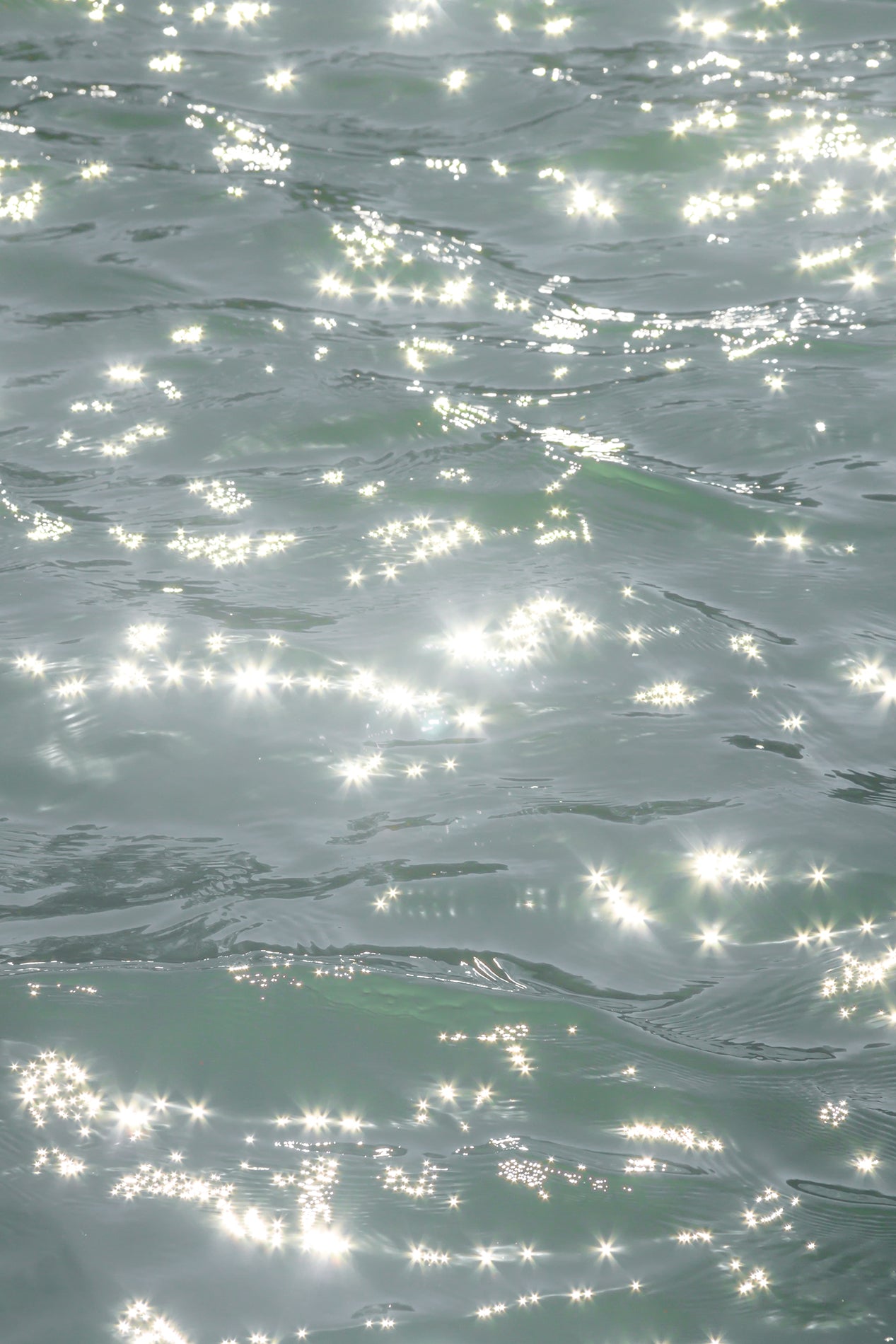 Sunstars - Sparkling wall art by Cattie Coyle Photography