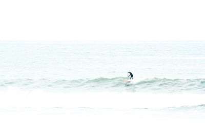 Surfing No. 7