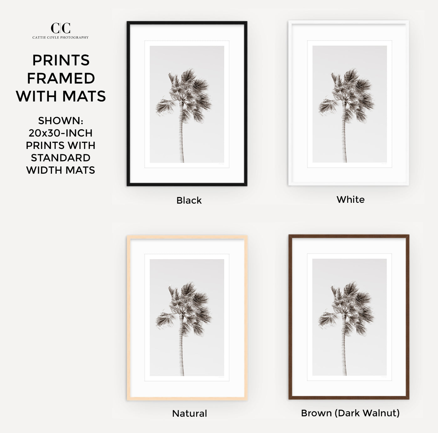 Framed black and white palm tree wall art by Cattie Coyle Photography